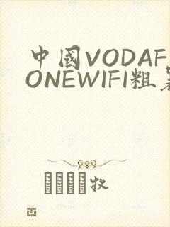 中国VODAFONEWIFI粗暴APP