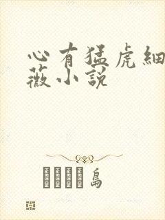 心有猛虎细嗅蔷薇小说