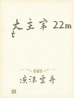 大主宰 22mt