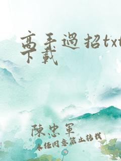 高手过招txt下载