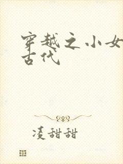 穿越之小女子闹古代