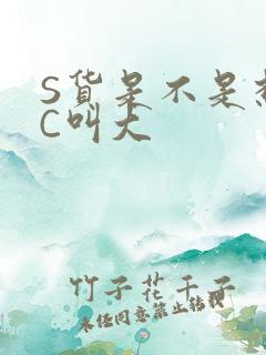S货是不是想挨C叫大