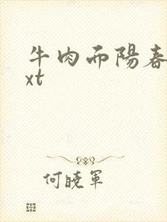 牛肉面阳春面txt