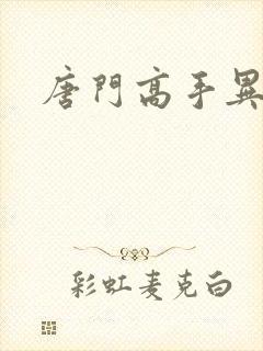 唐门高手异界游