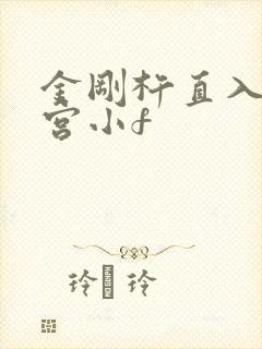 金刚杵直入莲花宫小f