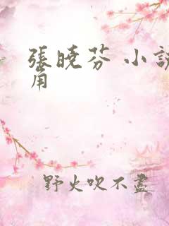 张晓芬 小说主角