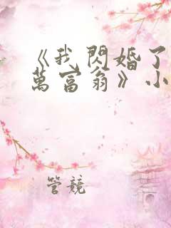 《我闪婚了个亿万富翁》小说