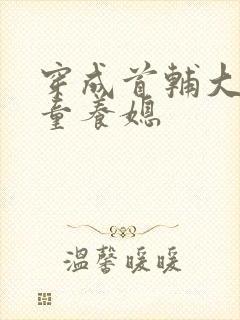 穿成首辅大人的童养媳