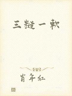 三糙一软