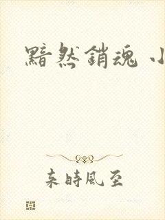 黯然销魂 小说