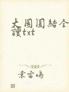 大团圆结全文阅读txt