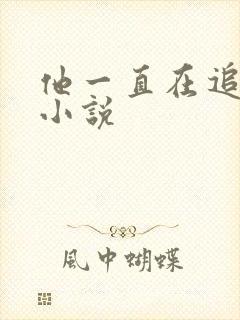 他一直在追初恋小说