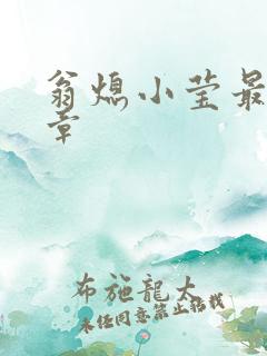翁熄小莹最新节章