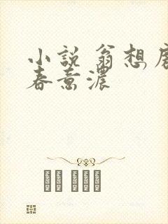 小说 翁想房中春意浓