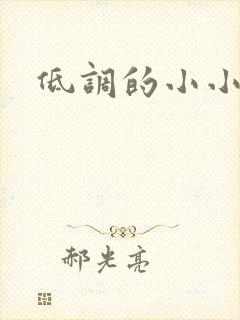 低调的小小宫女