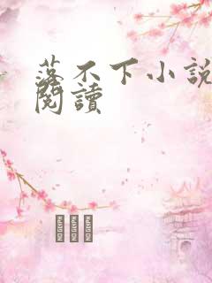 落不下小说免费阅读