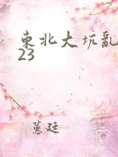 东北大坑乱1—23