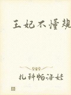 王妃不懂规矩