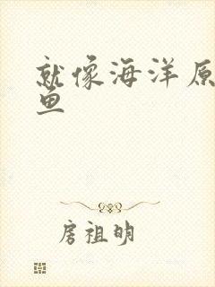 就像海洋原谅了鱼