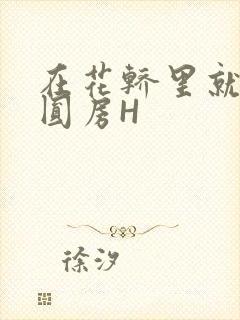 在花轿里就开始圆房H