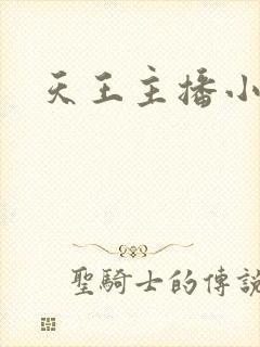 天王主播小说