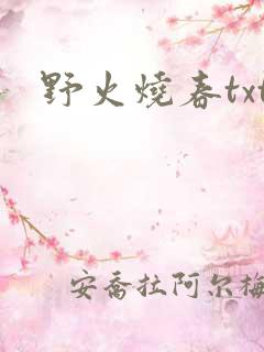 野火烧春txt