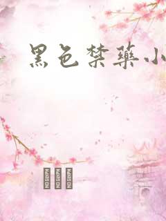 黑色禁药小说