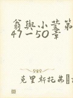 翁与小莹第十部47一5O章