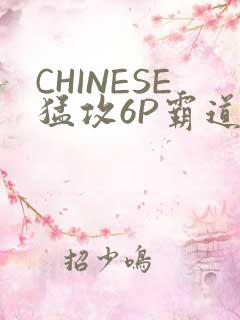 CHINESE猛攻6P霸道太子怀孕