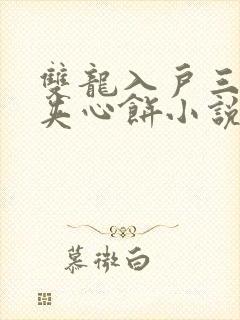 双龙入户三人行夹心饼小说