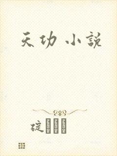 天功 小说