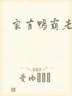 家有鸭霸老公