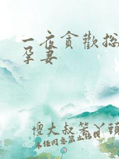 一夜贪欢总裁幸孕妻