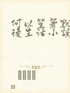 何以笙箫默之婚后生活小说