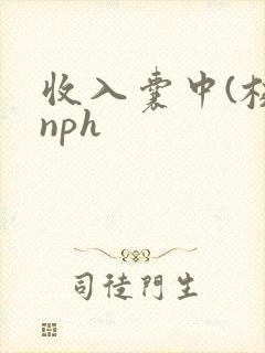 收入囊中(校园nph