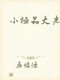 小极品大光棍