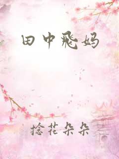 田中飞妈