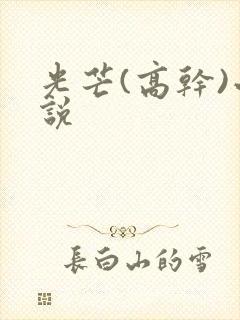 光芒(高干)小说