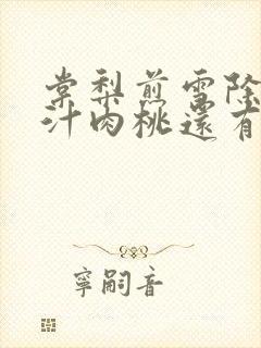 棠梨煎雪除了蜜汁肉桃还有什么肉