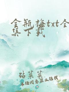 金瓶梅txt全集下载