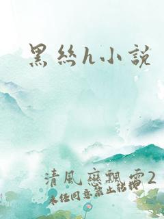 黑丝h小说
