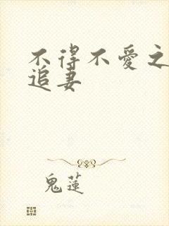 不得不爱之冷少追妻