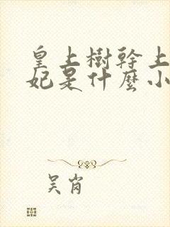 皇上树干上太子妃是什么小说