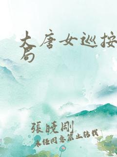 大唐女巡按大结局