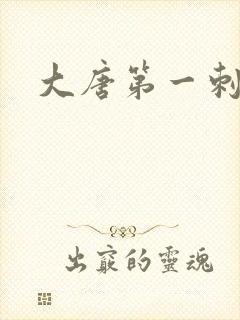 大唐第一刺局