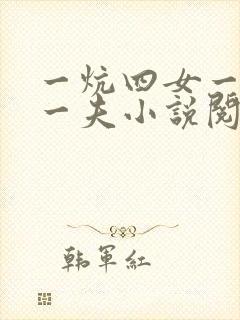 一炕四女一共侍一夫小说阅读