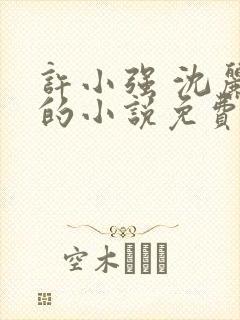 许小强 沈丽娟的小说免费阅读