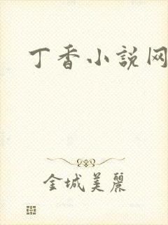 丁香小说网