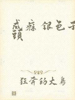 成瘾 银色子弹头