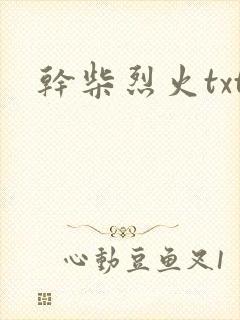 干柴烈火txt